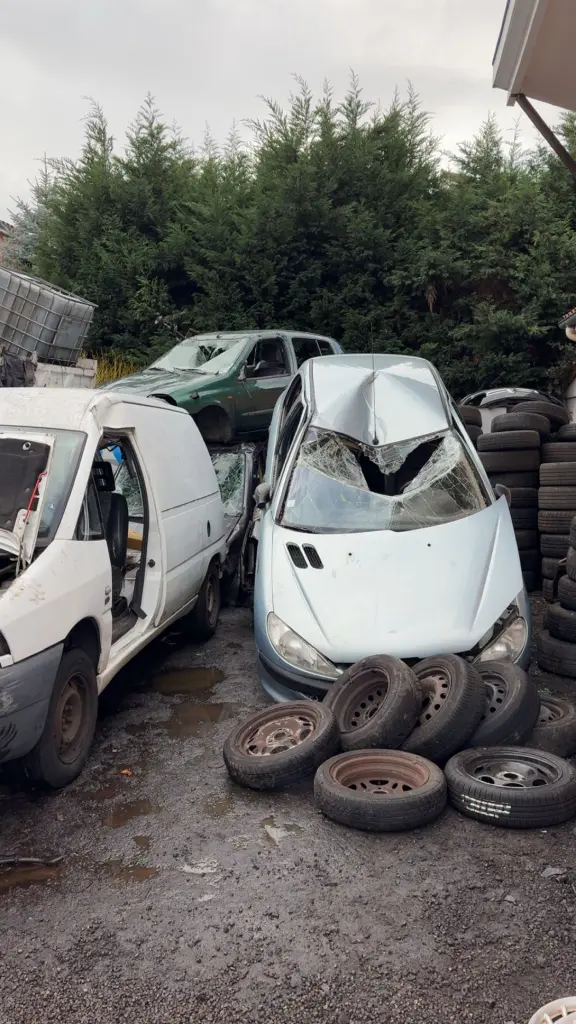 Enlèvement épave Villars 42390